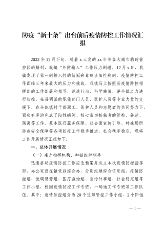 防疫“新十条”出台前后疫情防控工作情况汇报