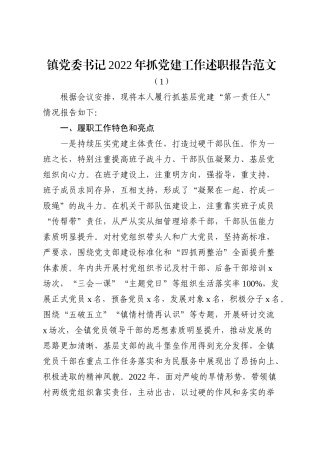 2022年乡镇党委书记抓基层党建工作述职报告范文2篇