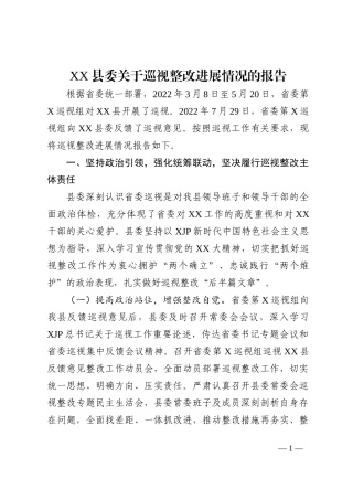 X县委关于巡视整改进展情况的报告