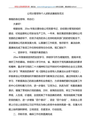 集团公司分管领导个人述职述廉报告范文