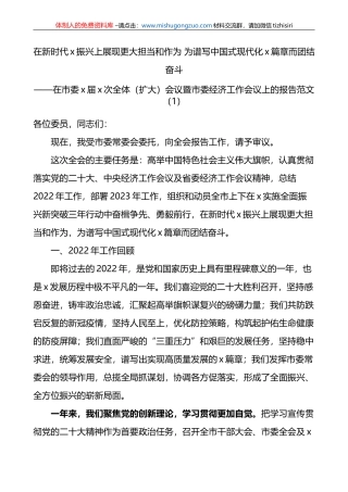 市委全体会议暨市委经济工作会议工作报告政协委员会工作报告范文2篇