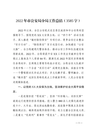 2022年市公安局分局工作总结