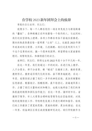 在学校2023新年团拜会上的致辞