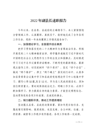 2022年副县长述职报告