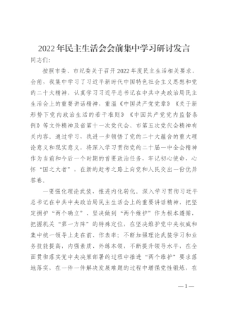 2022年民主生活会会前集中学习研讨发言