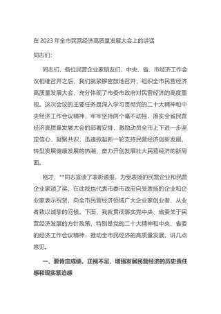 在2023年全市民营经济高质量发展大会上的讲话