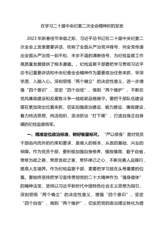 在学习二十届中央纪委二次全会精神时的发言