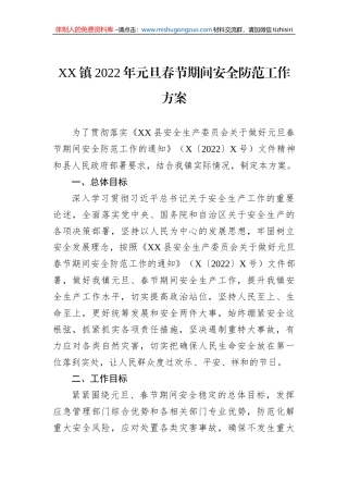 XX镇2022年元旦春节期间安全防范工作方案