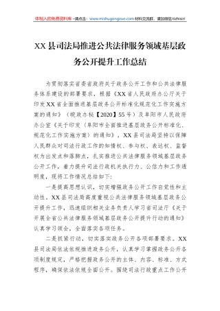XX县司法局推进公共法律服务领域基层政务公开提升工作总结（20221125）