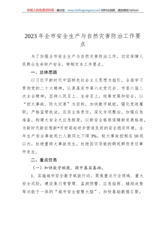 2023年全市安全生产与自然灾害防治工作要点