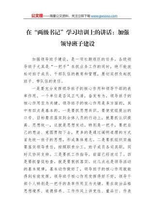 在“两级书记”学习培训上的讲话：加强领导班子建设