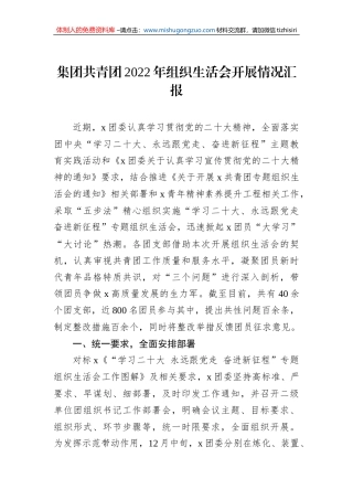 集团共青团2022年组织生活会开展情况汇报 (1)
