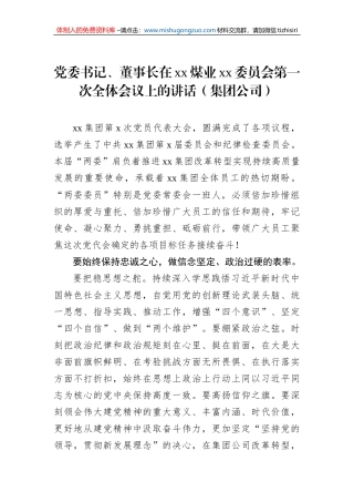党委书记、董事长在xx煤业xx委员会第一次全体会议上的讲话（集团公司）