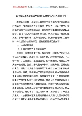 国有企业团支部委员专题组织生活会个人对照检查材料