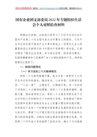 国有企业团支部委员2022年专题组织生活会个人对照检查材料