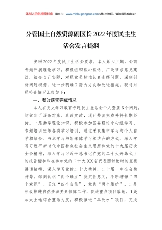 分管国土自然资源副区长2022年度民主生活会发言提纲