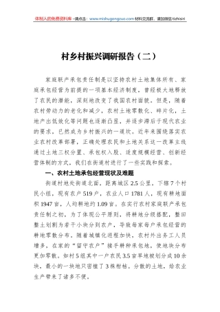 村乡村振兴调研报告（二）
