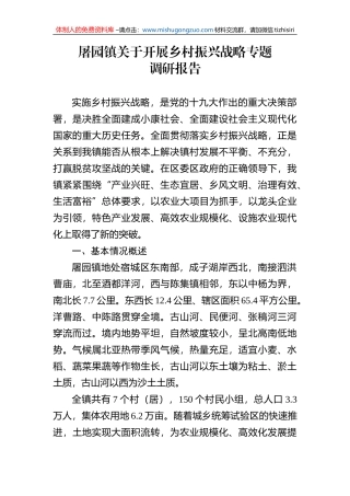 屠园镇乡村振兴调研报告