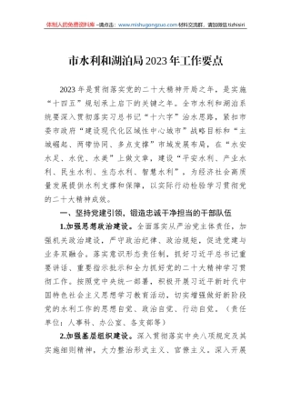 市水利和湖泊局2023年工作要点