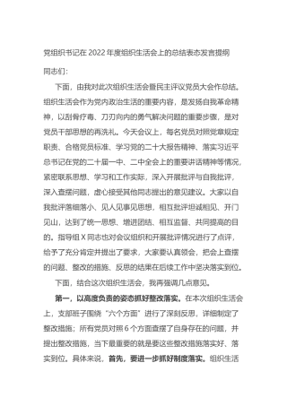 党组织书记在2022年度组织生活会上的总结表态发言提纲