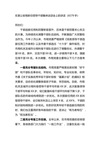 在某公安局新任领导干部集体谈话会上的讲话