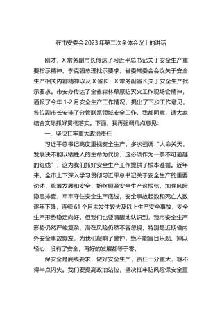 在市安委会2023年第二次全体会议上的讲话