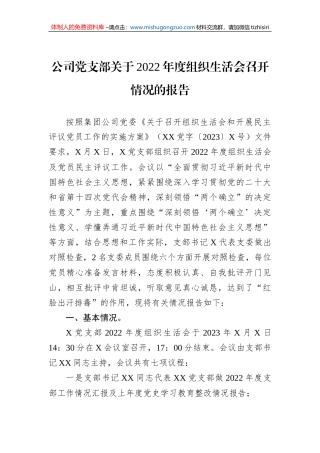 公司党支部关于2022年度组织生活会召开情况的报告