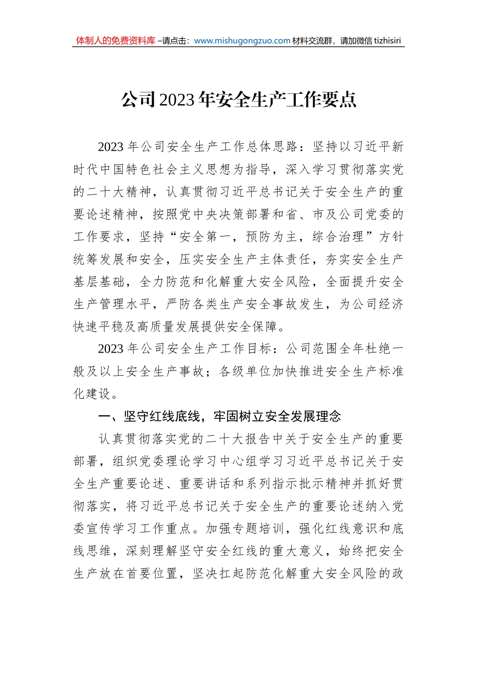 公司2023年安全生产工作要点_第1页
