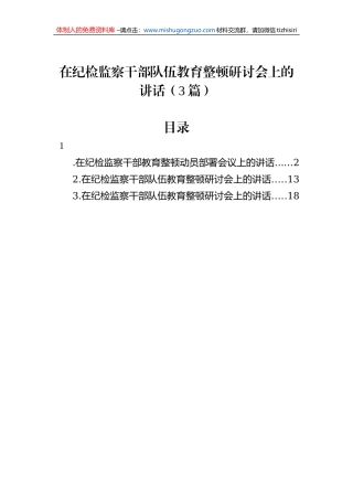 在纪检监察干部队伍教育整顿研讨会上的讲话（3篇）