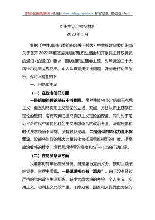 2023年集团公司第一支部组织生活会检视材料