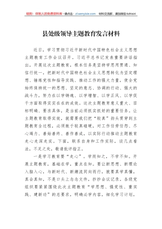 县处级领导主题教育发言材料