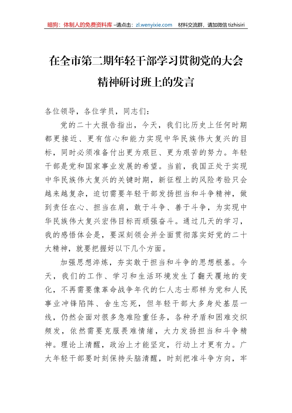 在全市第二期年轻干部学习贯彻党的二十大精神研讨班上的发言_第1页