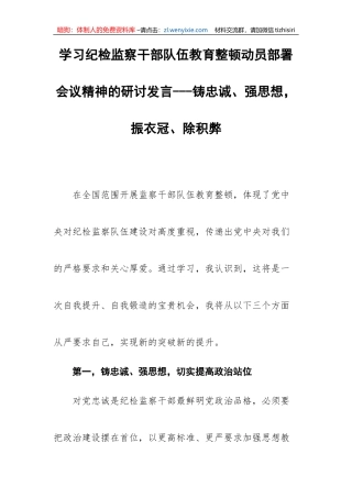 【JJ队伍教育整顿】学习纪检监察干部队伍教育整顿动员部署会议精神的研讨发言---铸忠诚、强思想，振衣冠、除积弊
