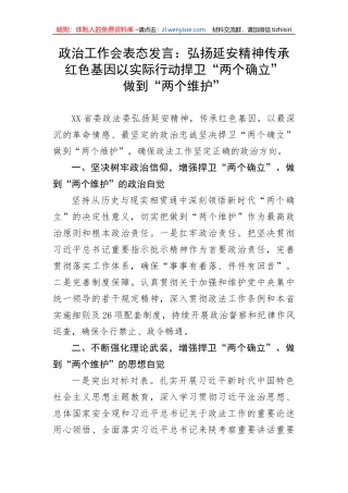 【表态发言】政治工作会表态发言：弘扬延安精神传承红色基因以实际行动捍卫“两个确立”做到“两个维护”