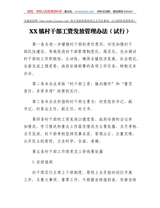XX镇村干部工资发放管理办法(试行)