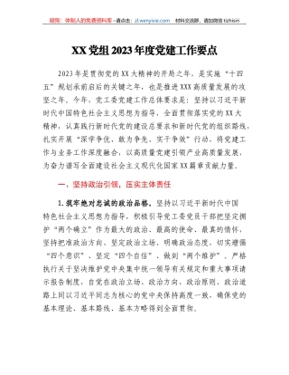 XX党组2023年度党建工作要点