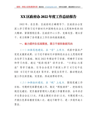 XX区政府办2022年度工作总结报告