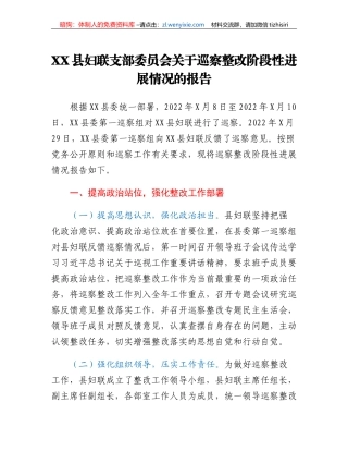 XX县妇联支部委员会关于巡察整改阶段性进展情况的报告