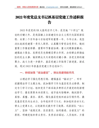 2022年度党总支书记抓基层党建工作述职报告