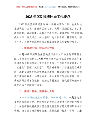 2023年XX县统计局工作要点