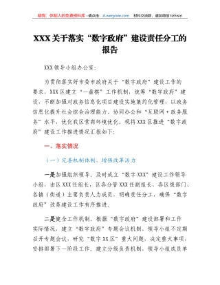 XXX关于落实数字政府建设责任分工的报告