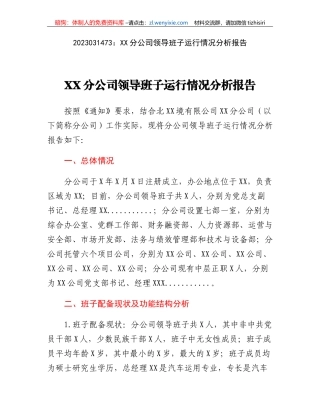 XX分公司领导班子运行情况分析报告
