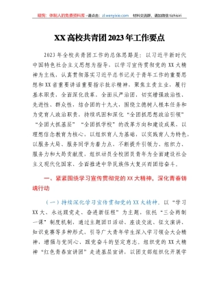 XX高校共青团2023年工作要点