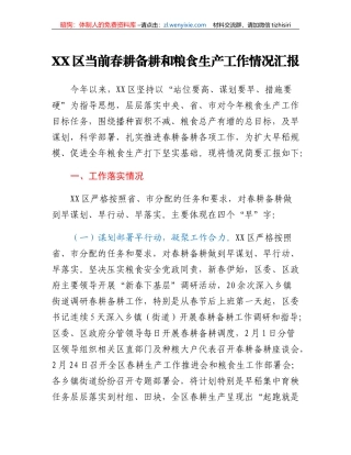 XX区当前春耕备耕和粮食生产工作情况汇报