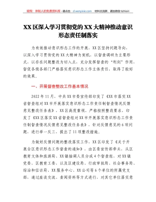 XX区深入学习贯彻党的二十大精神推动意识形态责任制落实