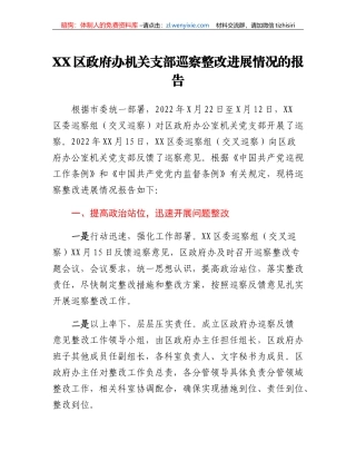 XX区政府办机关支部巡察整改进展情况的报告
