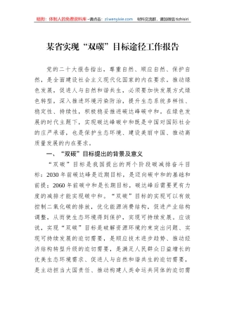 某省实现“双碳”目标途径工作报告