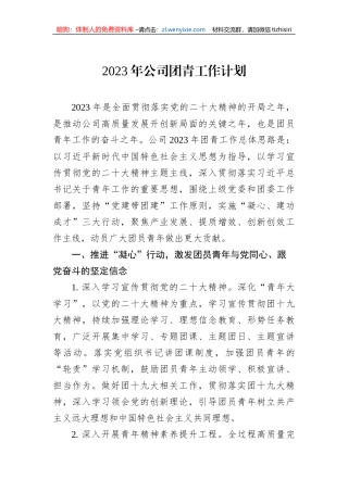 2023年公司团青工作计划