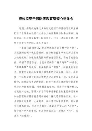 2023纪检监察干部队伍教育整顿学习心得体会九篇