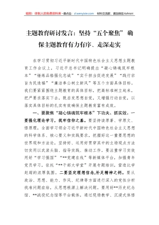 主题教育研讨发言：坚持“五个聚焦” 确保主题教育有力有序、走深走实